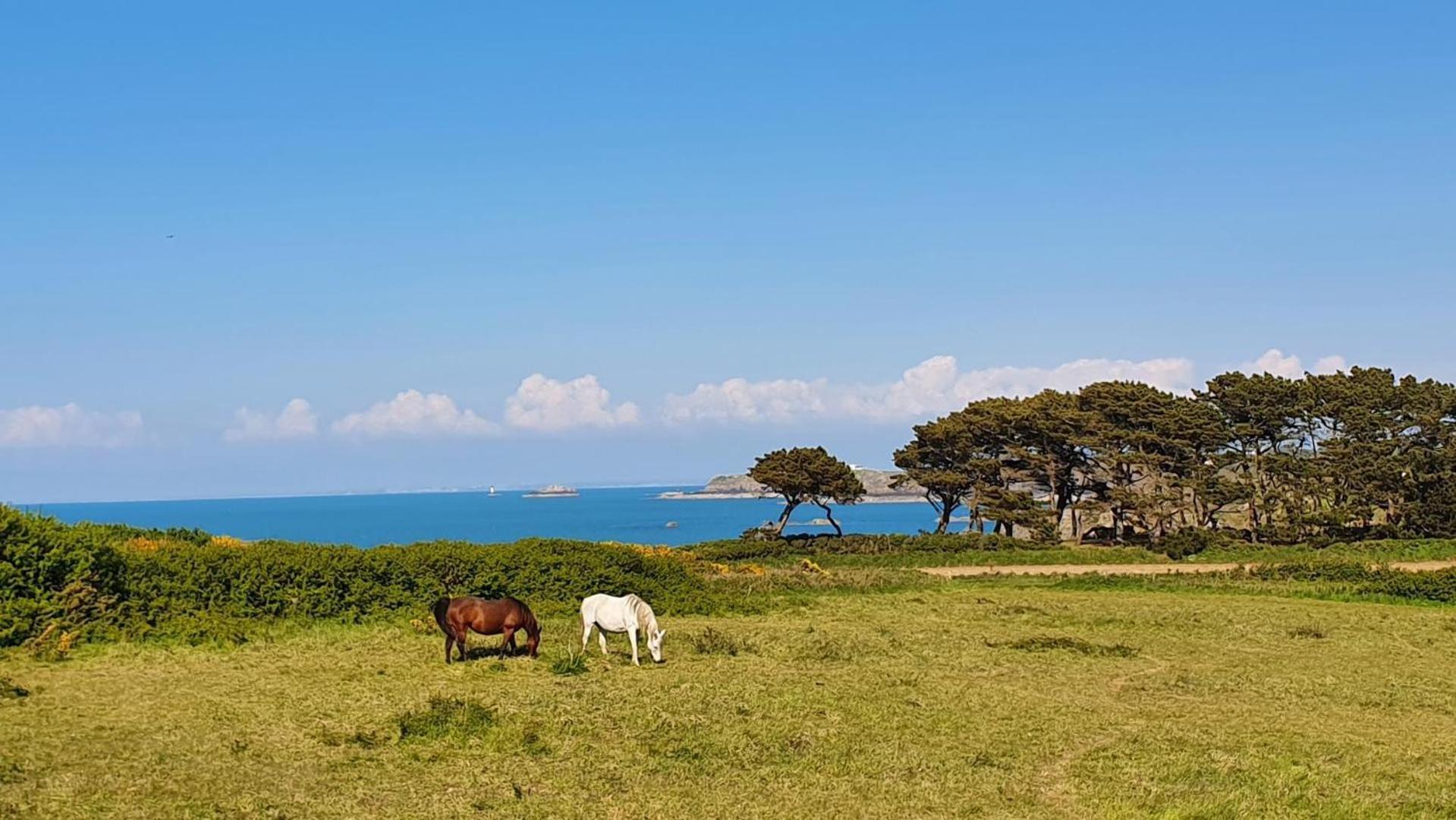 Bonne Rencontre Holiday home *